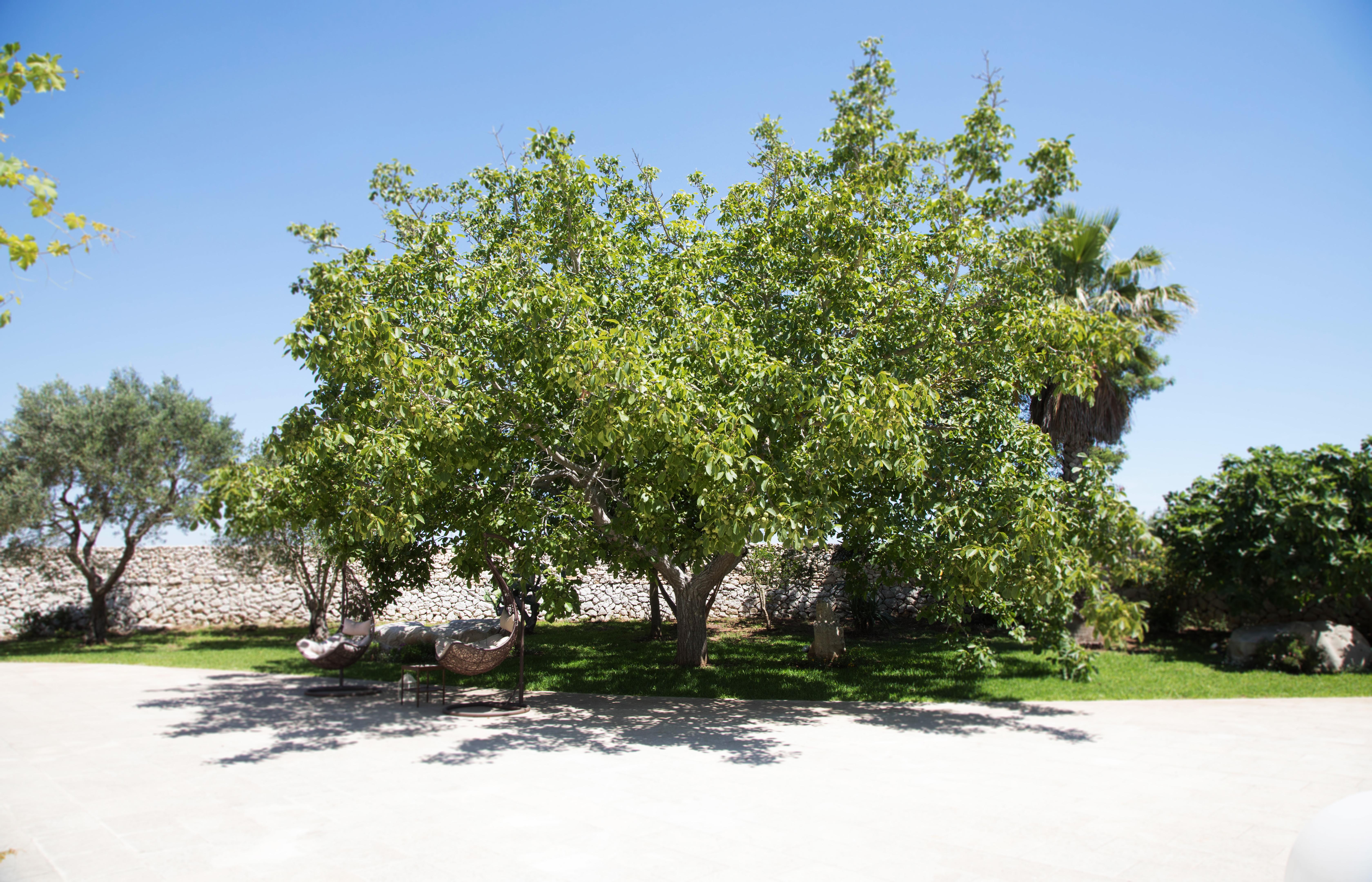 Don Agostino Relais Masseria Martano Εξωτερικό φωτογραφία